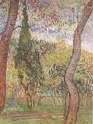 Vincent Van Gogh The Garden of Saint-Paul Hospital (nn04) Germany oil painting reproduction